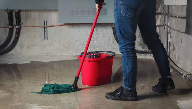 Best Local water damage restoration  in Kennett Square, PA