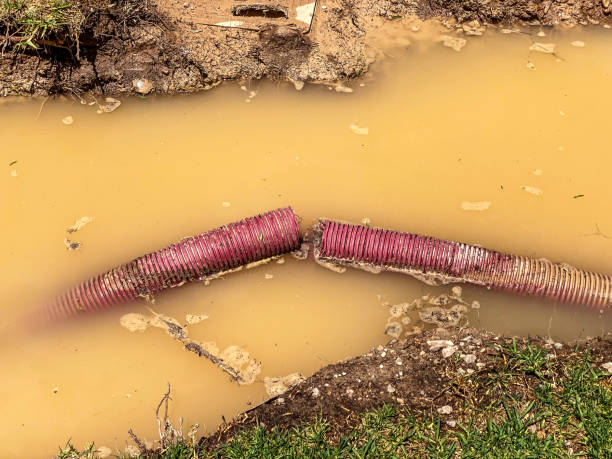 Best 24-hour water damage restoration  in Kennett Square, PA